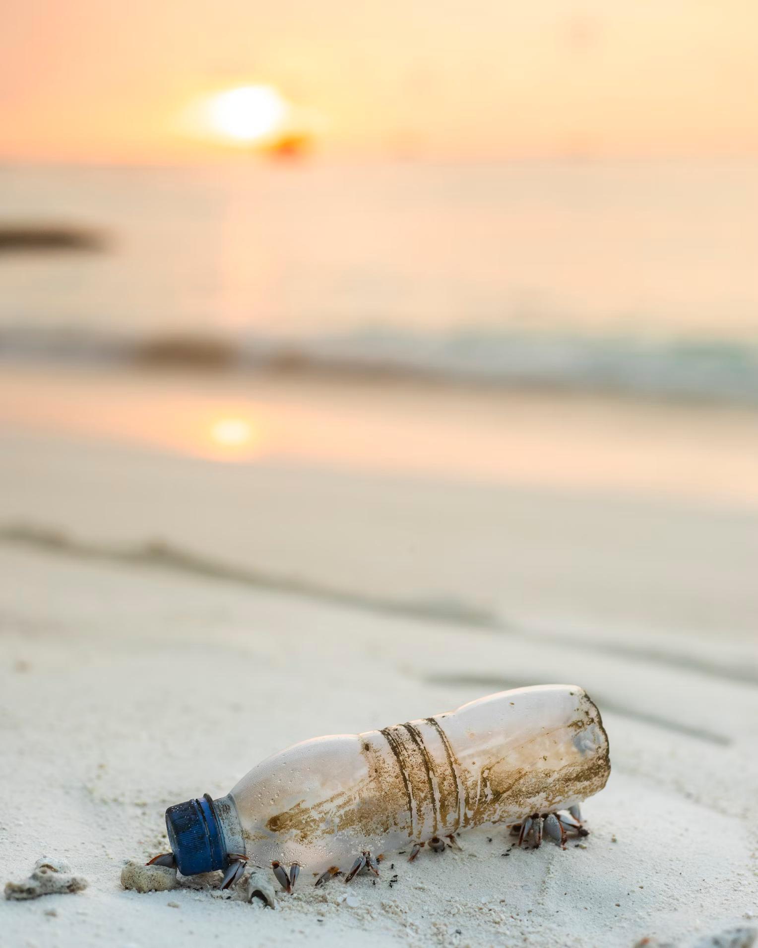 Pollution caused by plastic bottles