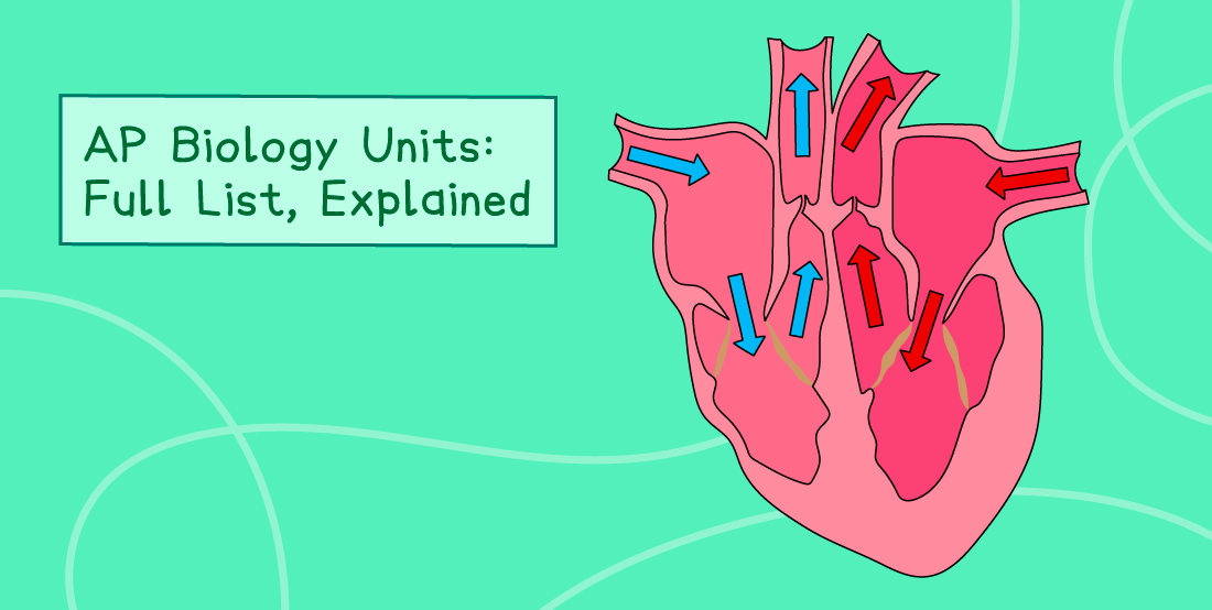 Diagram of a human heart with blue and red arrows indicating blood flow. Text box reads "AP Biology Units: Full List, Explained" on a green background.